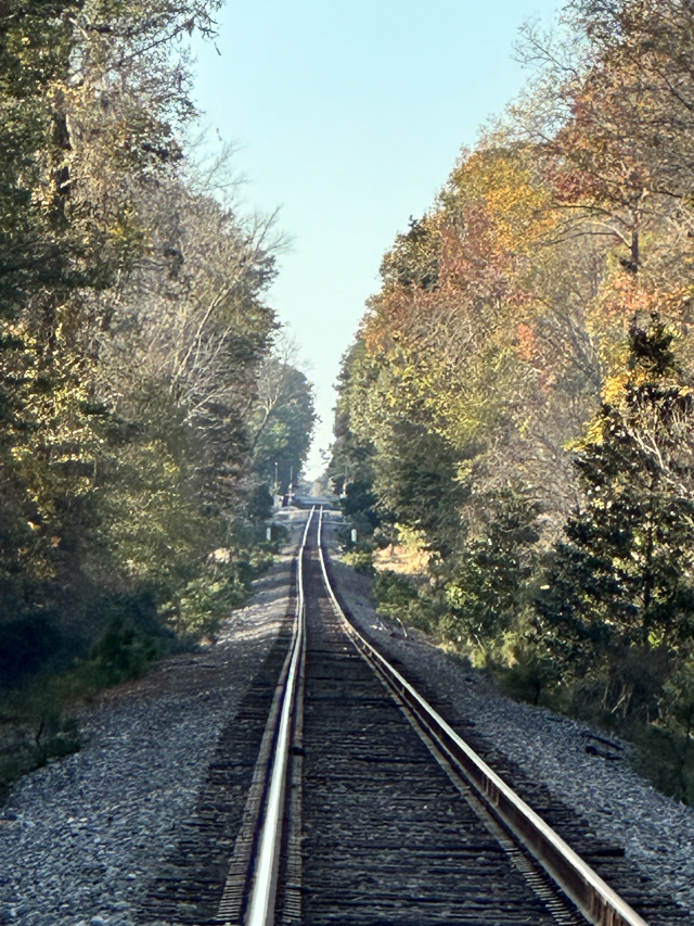Railroad track south of Summerville, South Carolina.