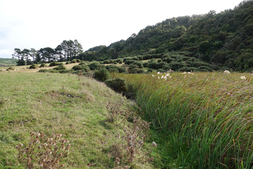 Two trenches along Wellington Hutt Valley Fault.