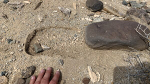 Rocks displaced near the fault stepover during the 2019 Ridgecrest earthquake. | Julian Lozos