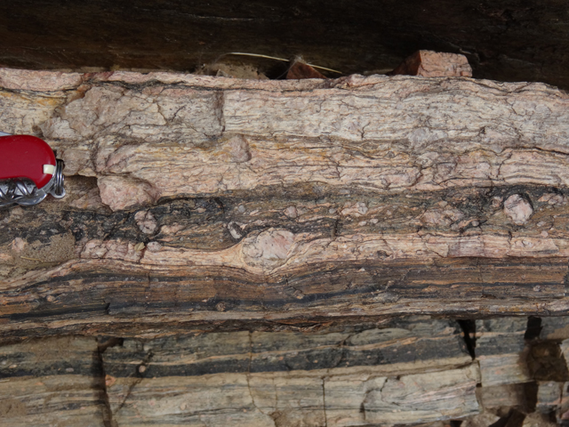 Granitic mylonites, ultramylonites and pseudotachylyte rock layers.